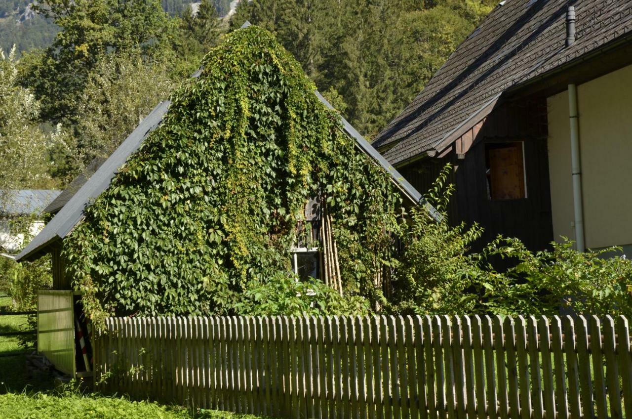 Haus Rosina Villa Admont Eksteriør bilde