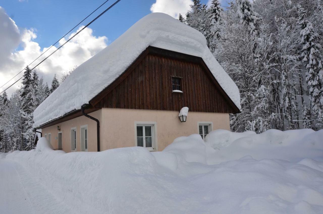 Haus Rosina Villa Admont Eksteriør bilde